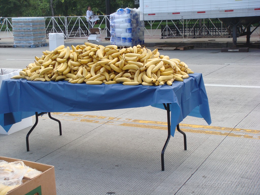 Chicago Rock N Roll 2010 0566.jpg - Banana's! A chimp convention coming to town?